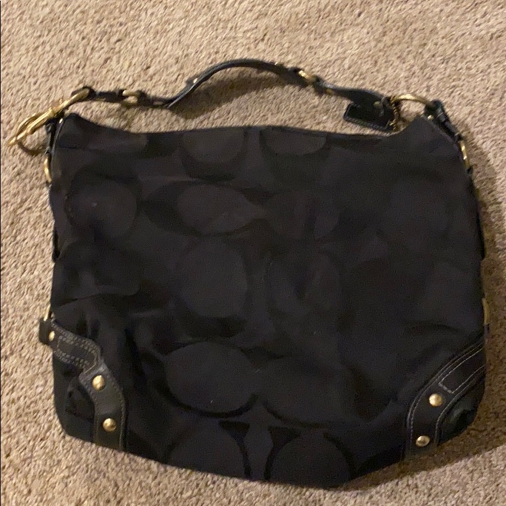 Coach Carly Hobo Bag (large)